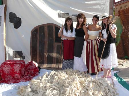 Usos y Costumbres, 2011, (54) Vareadoras de lana