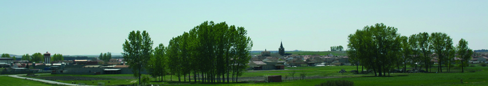 Banner de cabecera