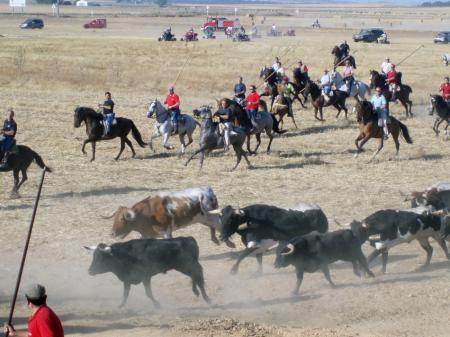 encierros_camperos