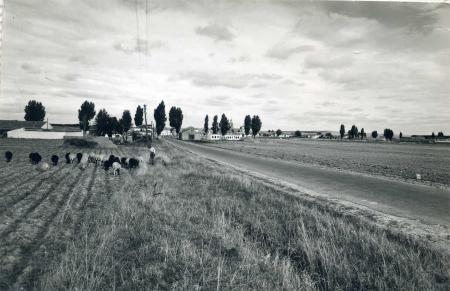 Bajada de San Roque (h. 1961)