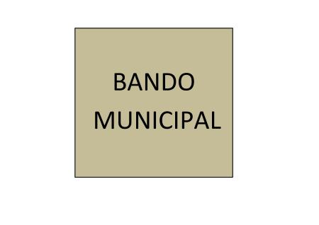 Imagen BANDO MUNICIPAL