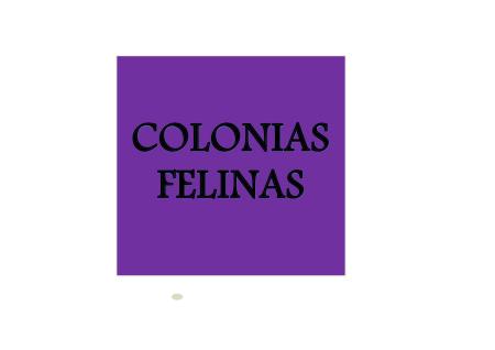 Imagen COLONIAS FELINAS